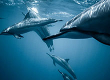 惠若琪：今天是为年轻交学费，技术上发接比较欠缺